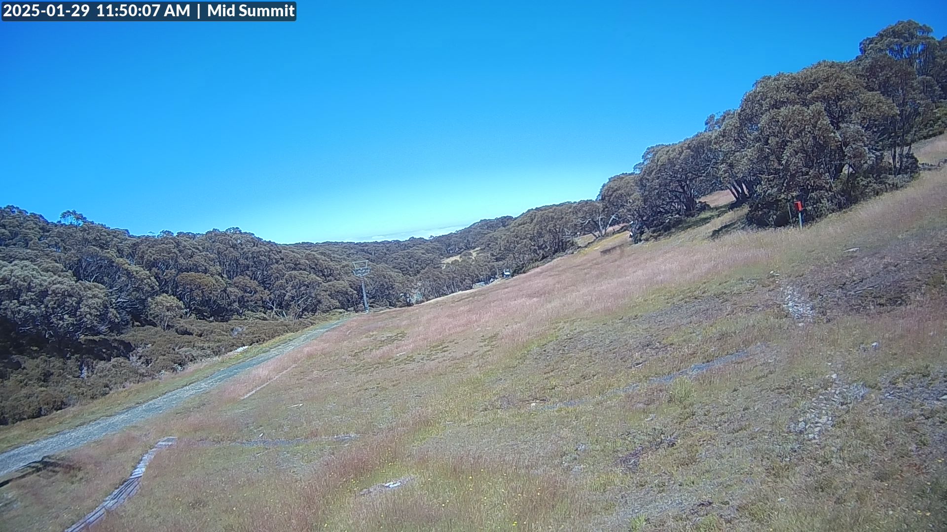 Mid Summit | Mount Baw Baw cams