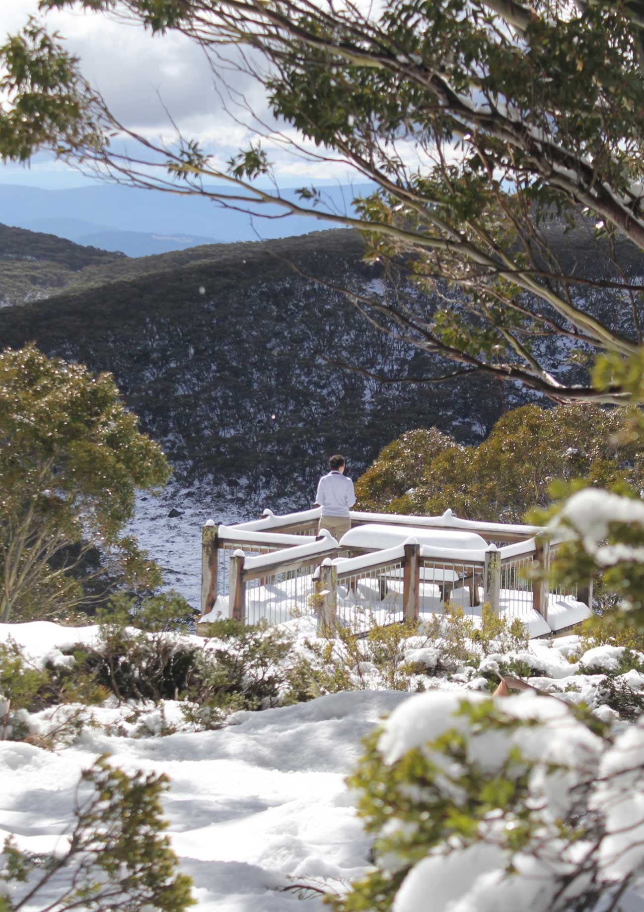 visit mt baw baw